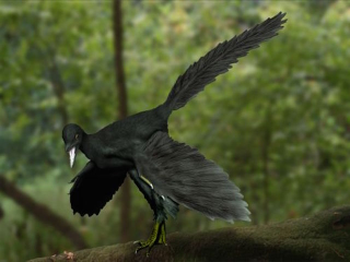 Illustration for article titled 10 mitos sobre los dinosaurios que son completamente falsos